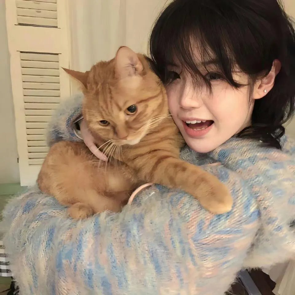 猪就是猪 封面
